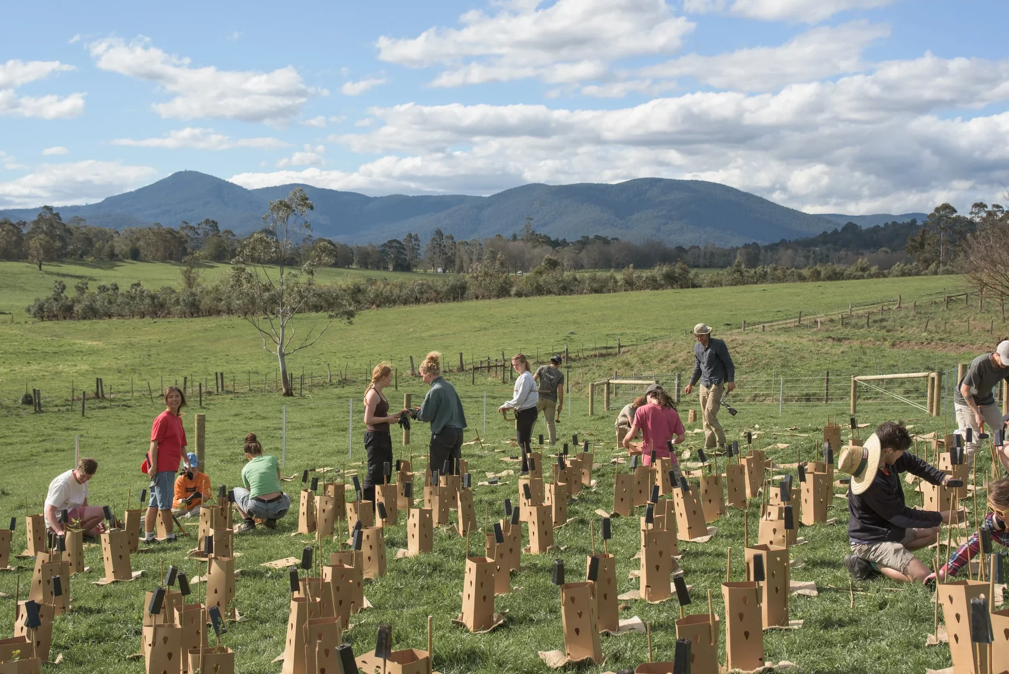 Young people in nature on a Co-Exist conservation day